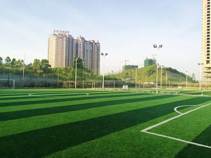 杭州电子科技大学人造草坪
